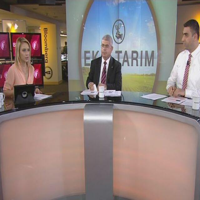 Türkiye; su zengini mi, fakiri mi? - 10 yıl önce
