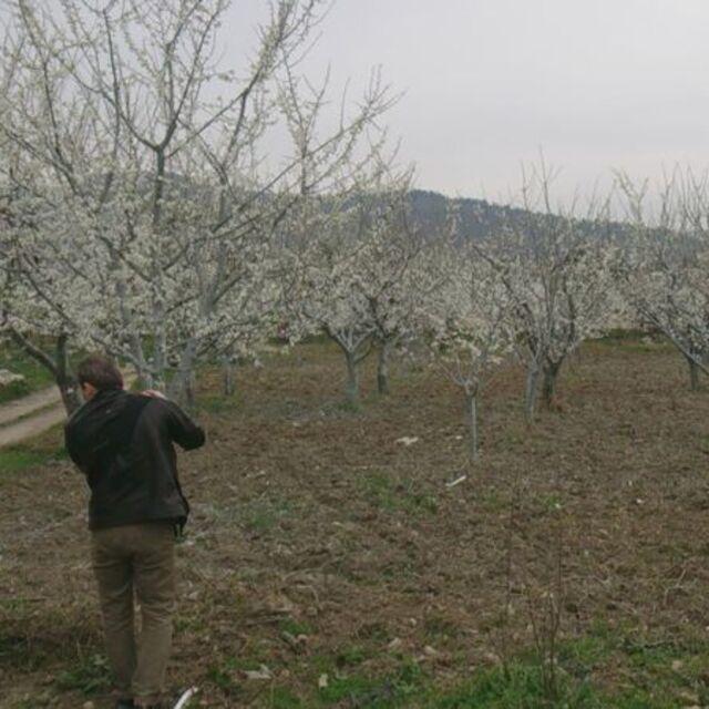 Tarımda ağır fatura - 11 yıl önce