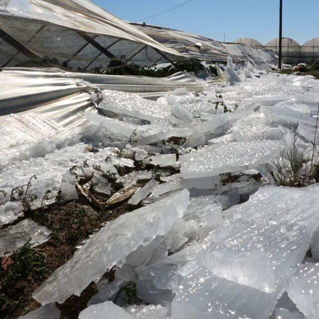 Analiz : Tarım, ekonomiyi 2015'te de 'don'duracak mı? - 11 yıl önce