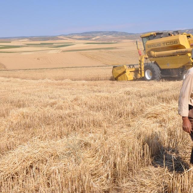 Tarım ÜFE Temmuz'da %2,28 azaldı - 9 yıl önce