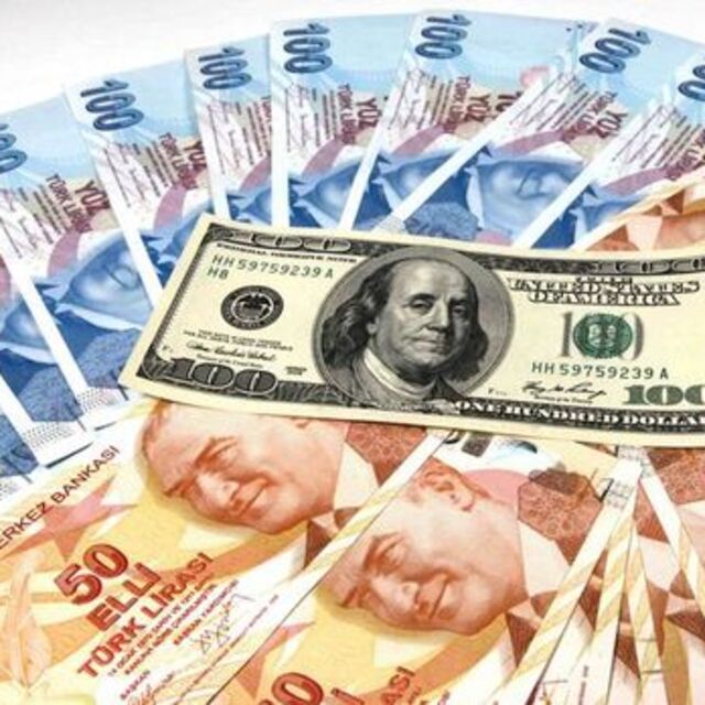 Dolar/TL 3.92'nin üzerini gördü