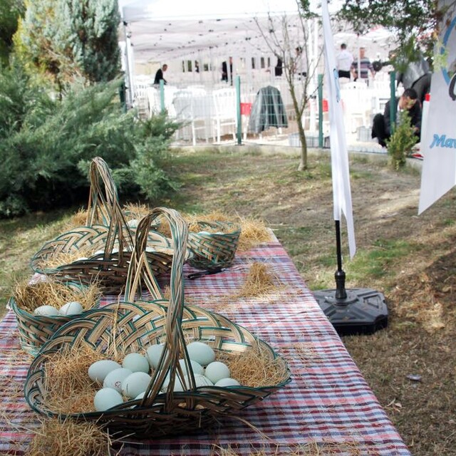 "Çiftlik Bank" için bakanlık inceleme başlattı