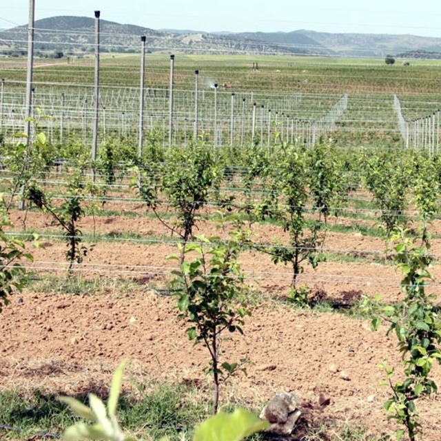 FÜAB Başkanı Tanrıver: Bizde bir yabancı hayranlığı var