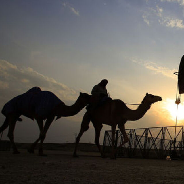 IEA: OPEC küresel aşırı arzı silmek üzere