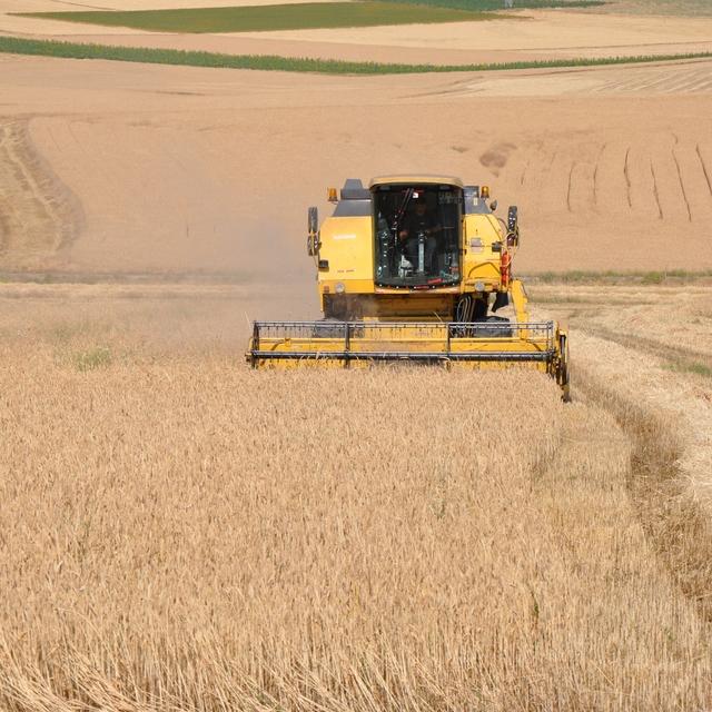 FAO Küresel Gıda Fiyat Endeksi Haziran'da düştü - 8 yıl önce