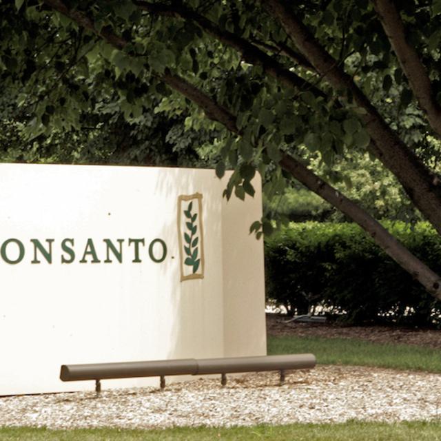 Monsanto'ya açılan dava sayısı artıyor - 8 yıl önce