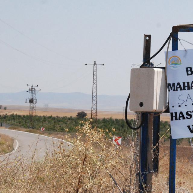 Brezilya'dan ithal edilen büyükbaş hayvanlarda şarbon çıktı - 8 yıl önce