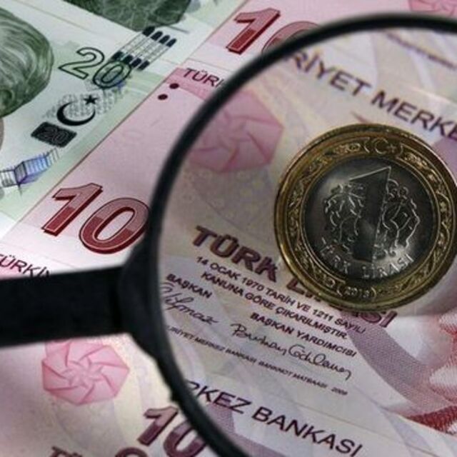 Whireland/Ingram: TL'deki oynaklık devam edebilir