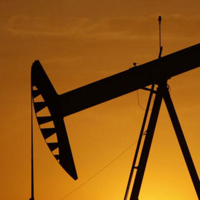 Petrol büyüme endişeleriyle kaybını korudu