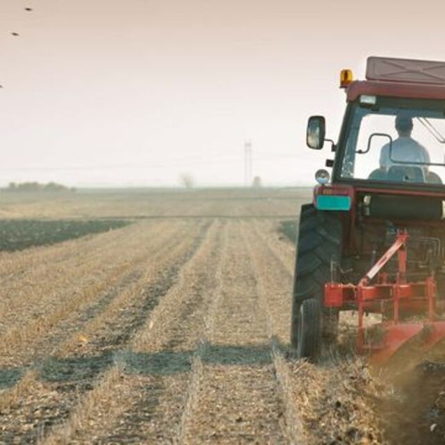 Tarımın 2019 karnesi