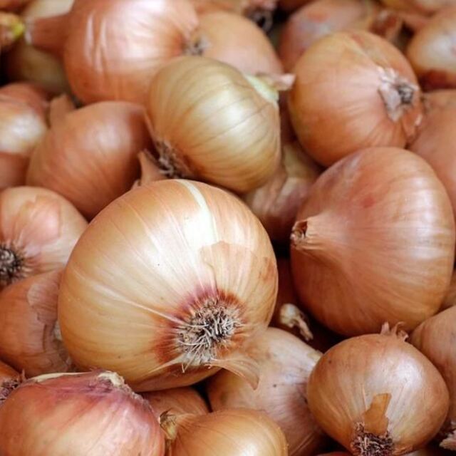 Kuru soğan ve patates ihracatı neden ön izne bağlandı?