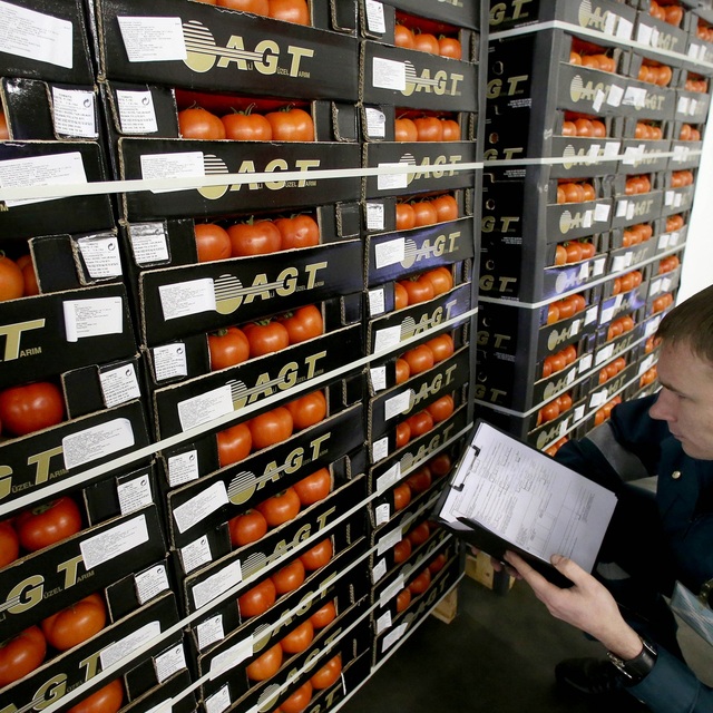 Rusya'ya gönderilen domatesler her an geri çevrilebilir