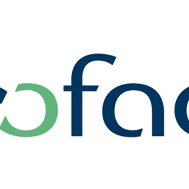 Coface Türkiye’nin risk görünümünü bir kademe iyileştirdi