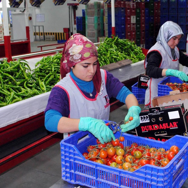 2,3 milyar dolarlık ihracatın ardındaki riskler ve fırsatlar