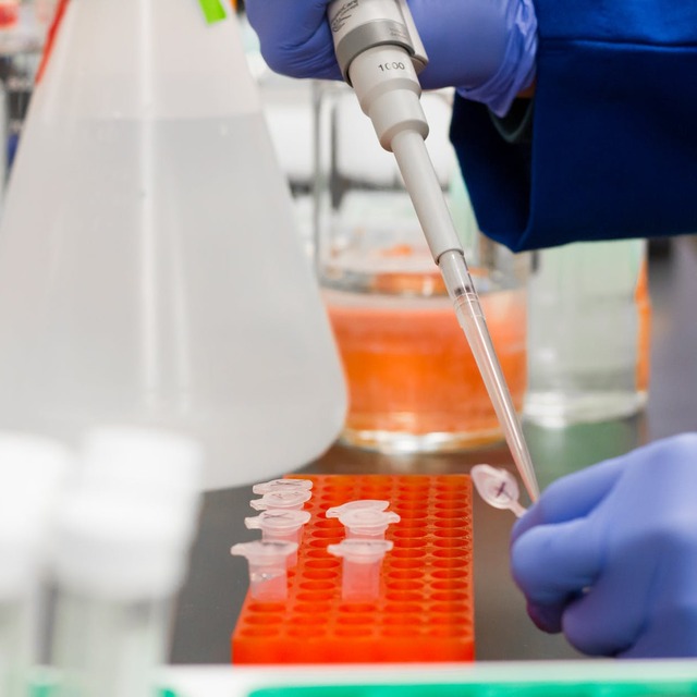 Çin’de Kovid-19 salgınında ölenlerin sayısı 3 bin 44’e yükseldi