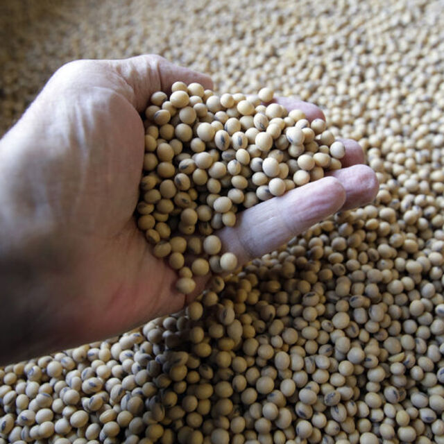 ABD'de ÜFE Şubat'ta beklenenden fazla düştü