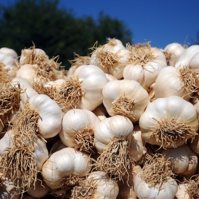Sarımsak, Nisan ayının zam şampiyonu oldu