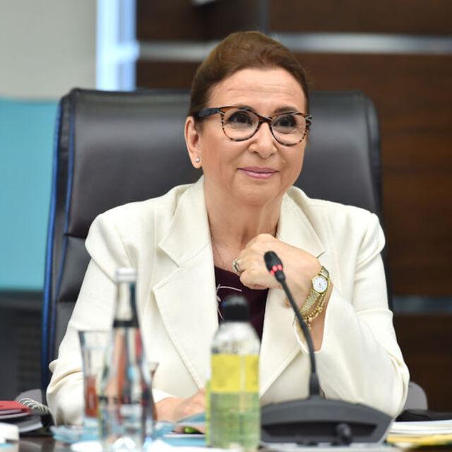 Bakan Pekcan'dan ihracatçı firmalara iki yeni müjde geldi - 6 yıl önce