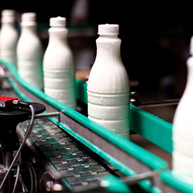 Süt üreticileri kendilerine ilk kez kapılarını açan Çin'de kalıcı olmak istiyor