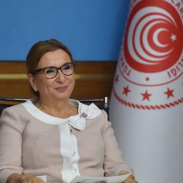 Pekcan: Türk firmaları, Libyalılar ile görüşerek projelerdeki işlerini sonuçlandırabilecek - 5 yıl önce