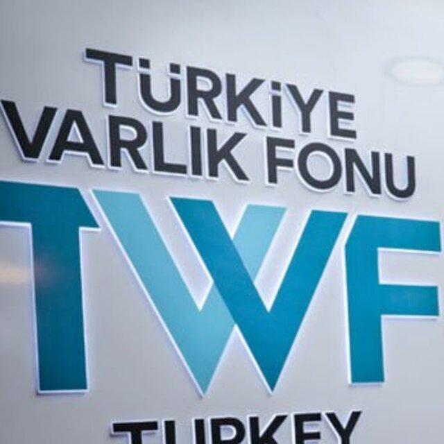 Türkiye Varlık Fonu Eurobond işlemini erteledi - 5 yıl önce