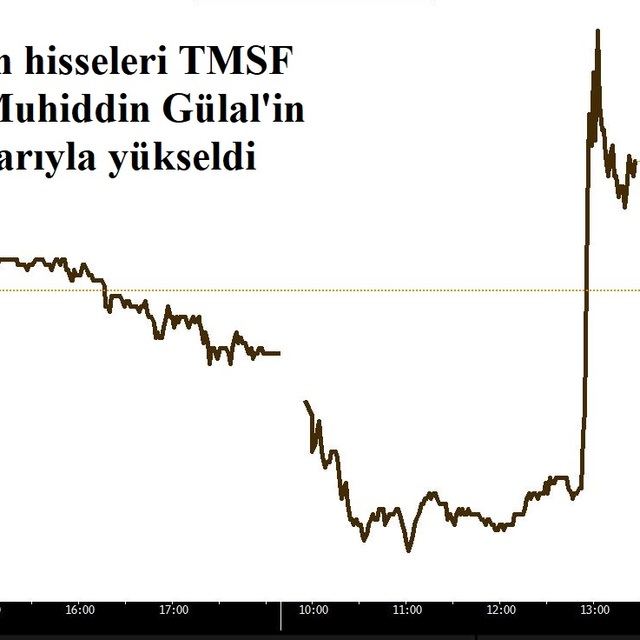"Koza Altın Varlık Fonu'na devredilebilir"