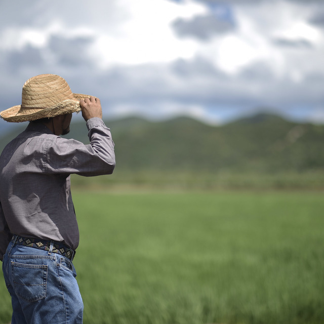 Küresel gıda fiyatlarında yükseliş hız kesmiyor