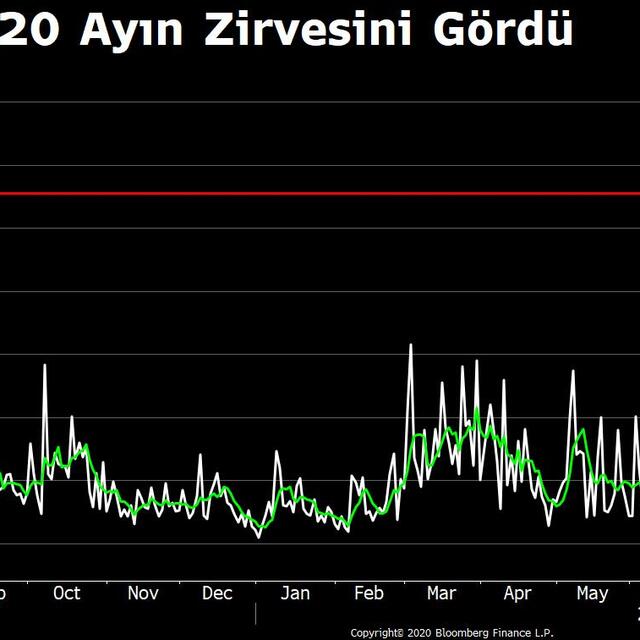 Dolar/TL'de işlem aralığı 20 ayın zirvesini gördü