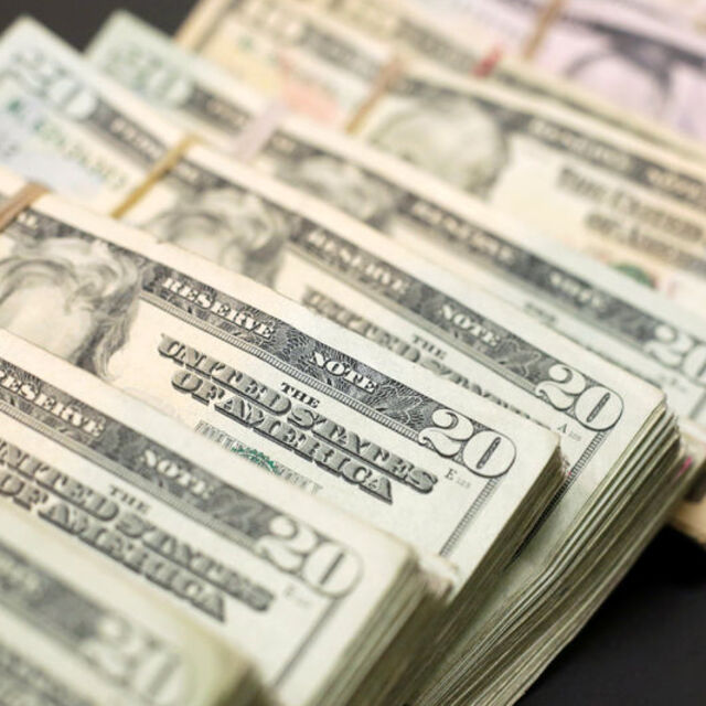 Dolar/TL'de dalgalı seyir