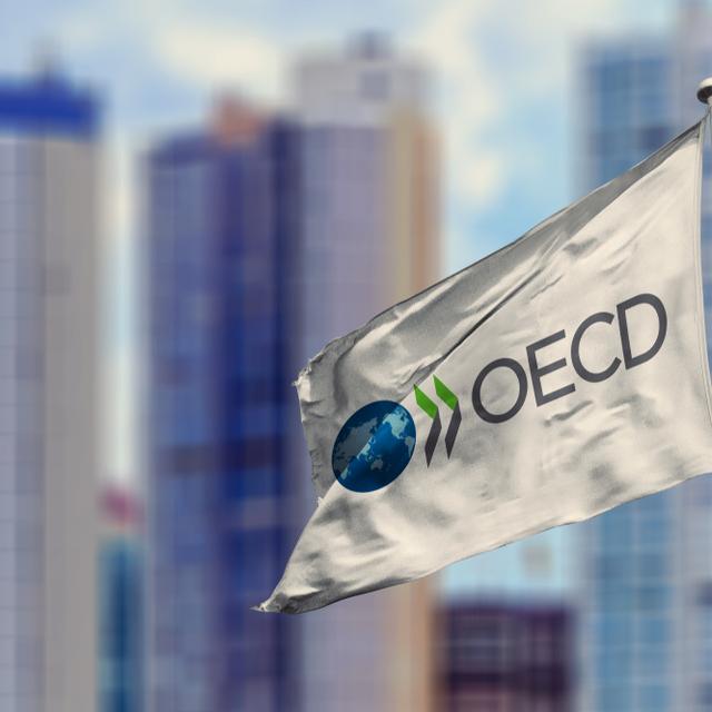 OECD: Küresel ekonomi batma ya da çıkma anıyla karşı karşıya olabilir - 5 yıl önce