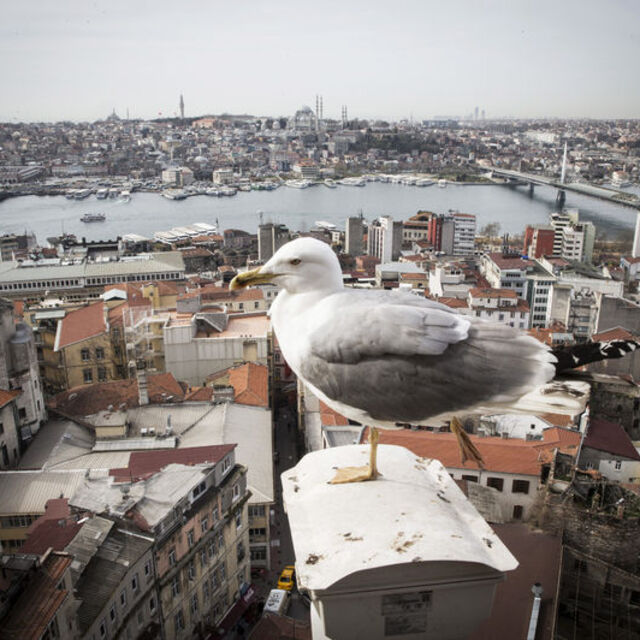 Katar, Haliç Altın Boynuz projesine yatırım yapacak