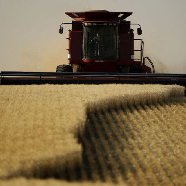 Para duvarı tarım ürünlerini vuruyor