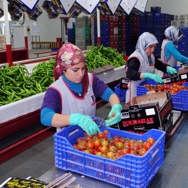 Domates, Yaş Sebze Meyve Endekslerinde yükseliş sürüyor