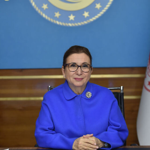 Pekcan'dan Gümrük Birliği'nde güncelleme çağrısı