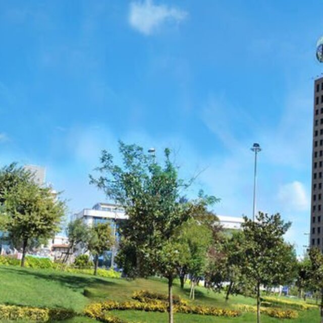 Moody's 12 Türk bankasının yabancı para mevduat notunu yükseltti