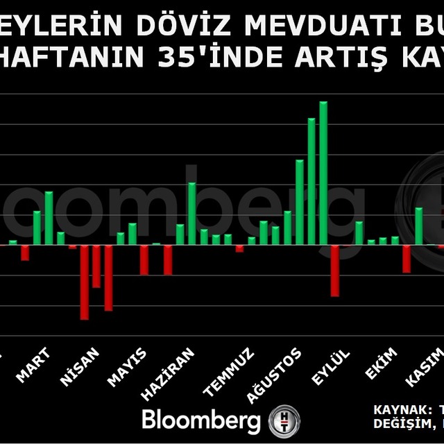 Döviz mevduatlarında yeni rekor
