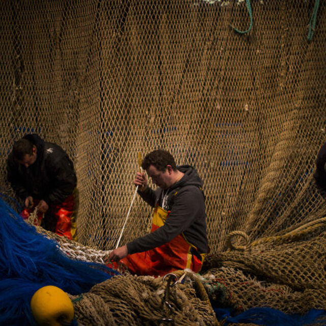 AB, Johnson'ın balıkçılık teklifini reddetti