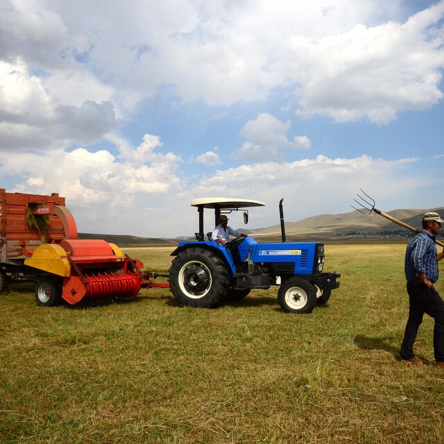 Bitkisel üretim tahminleri açıklandı