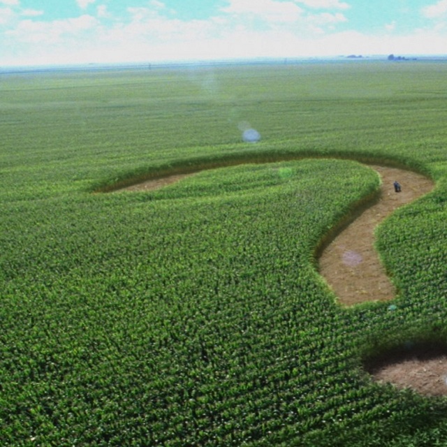 Tarım ve gıda sektörünü 2021'de ne bekliyor