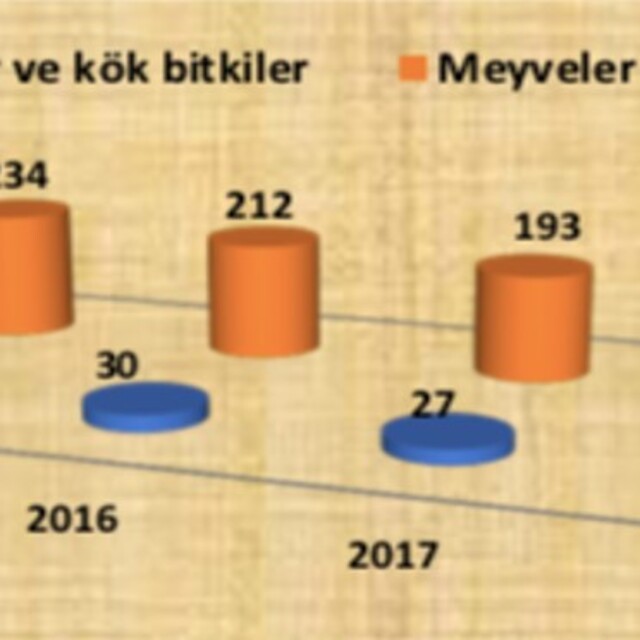 Türkiye-İngiltere anlaşmasının tarım ve gıda ticaretine yansıması