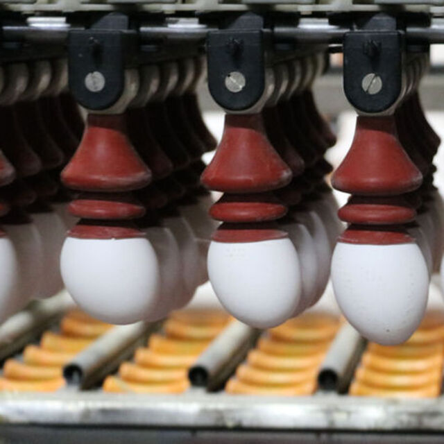 Gıda enflasyonunda 2020'nin şampiyonları