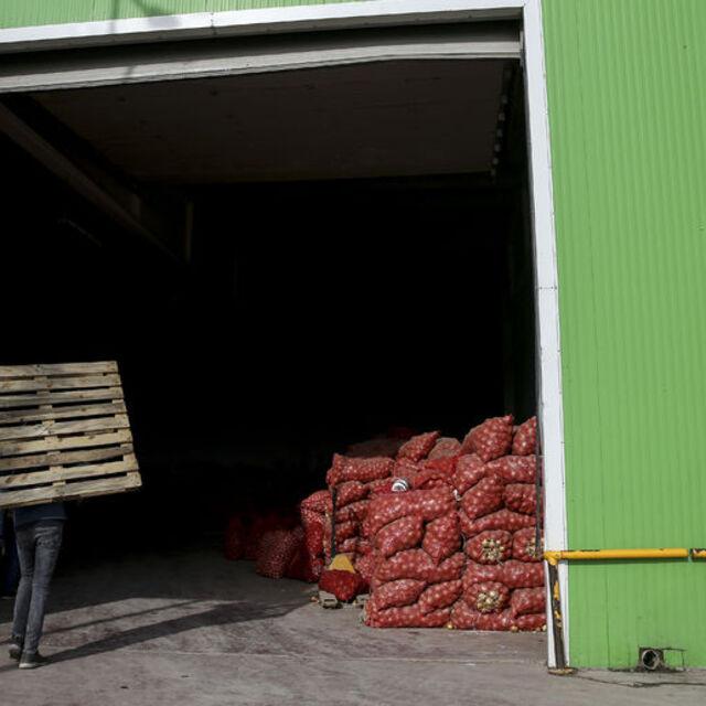 Türkiye yine patates-soğan sorunuyla karşı karşıya - 5 yıl önce