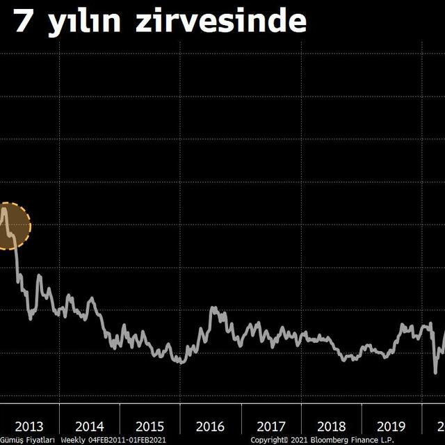 Gümüş 'Reddit' sonrası 8 yılın zirvesinde