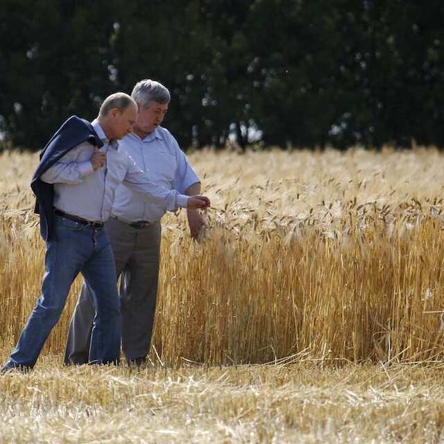 Rusya, tahıl için kalıcı bir yeni ihracat mekanizması başlatıyor