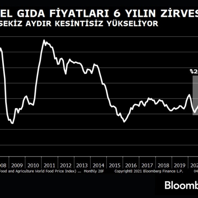 Aralıksız 8 aydır yükselen küresel gıda fiyatları 6 yılın zirvesinde