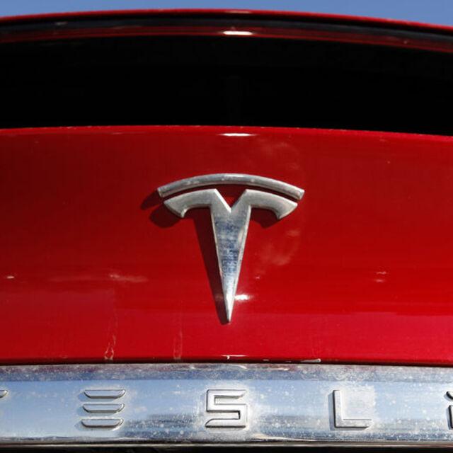 Musk'ın kardeşinden Tesla'da hisse satışı