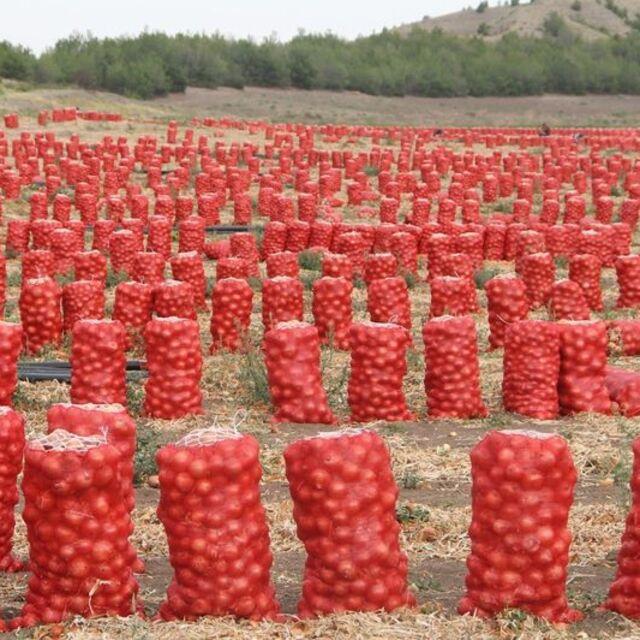 "Eldeki patates-soğan acilen pazarlanmalı" - 5 yıl önce