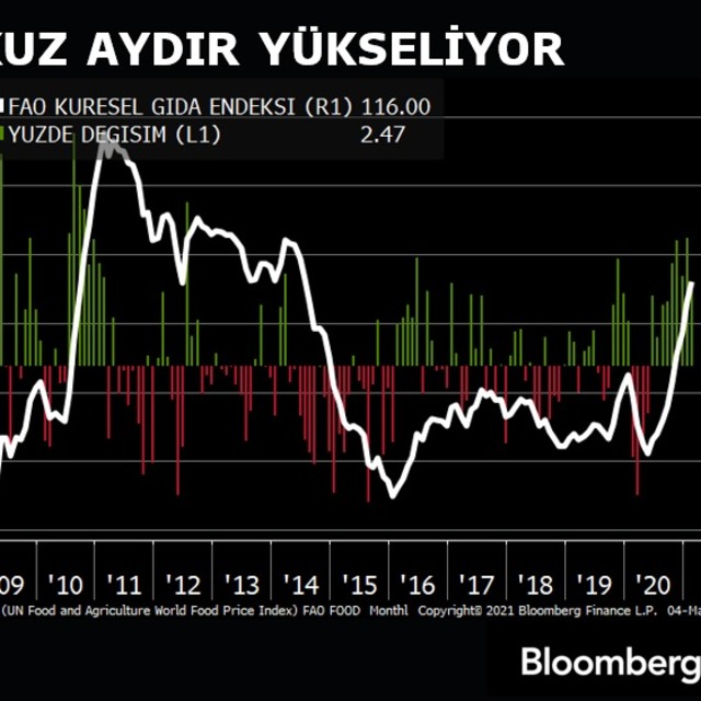 Küresel gıda fiyatları 9 aydır aralıksız yükseliyor