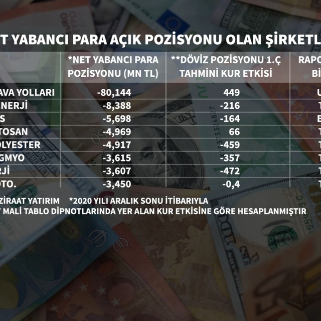 TL'deki değer kaybından en çok etkilenen borsa şirketleri