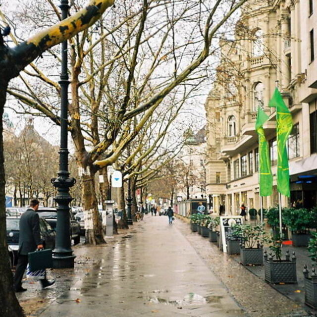 Öncü veriler Euro Bölgesi'nde hızlı toparlanmaya işaret etti